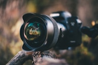 A close-up image of a DSLR camera, placed on a rustic branch with a shallow depth of field. The focus is on the camera lens, showing reflections of an outdoor setting.