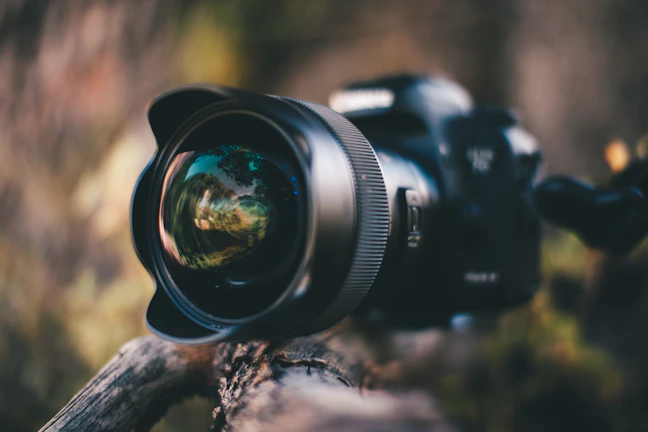A close-up shot of a DSLR camera set against the lush greenery of Tadoba National Park at dawn