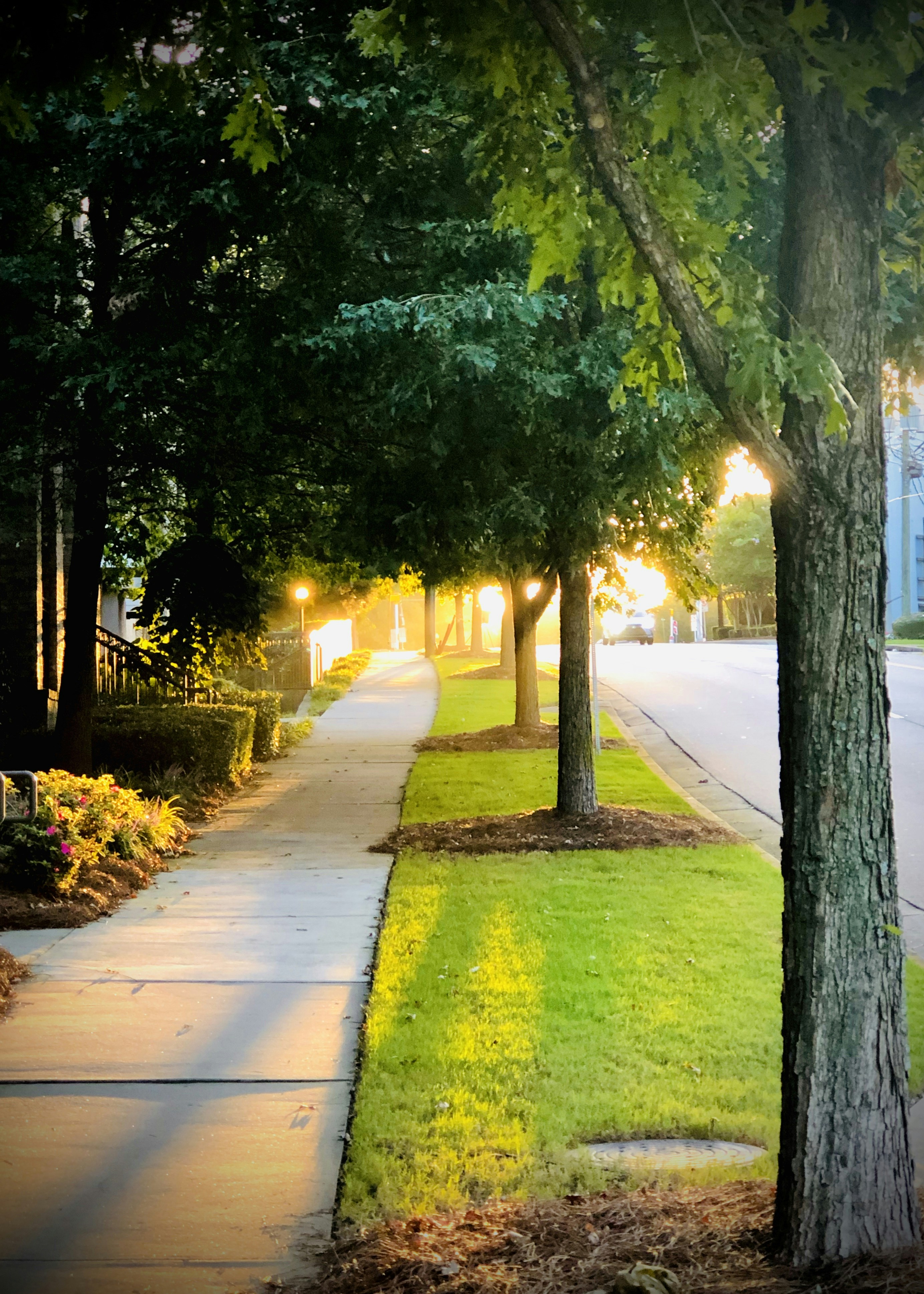 Photo by vijetha_surakanti