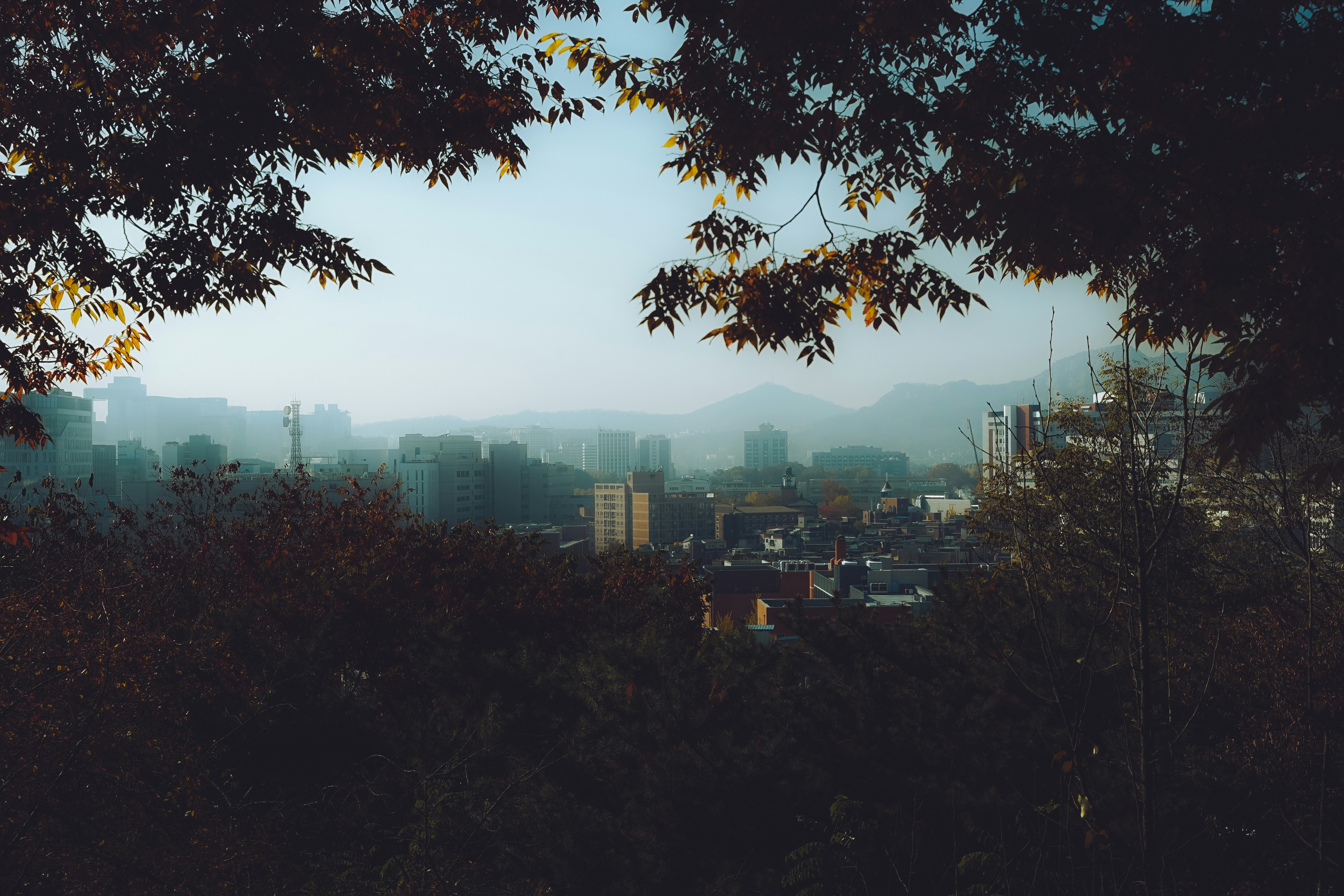 Photo by thinhngtrung