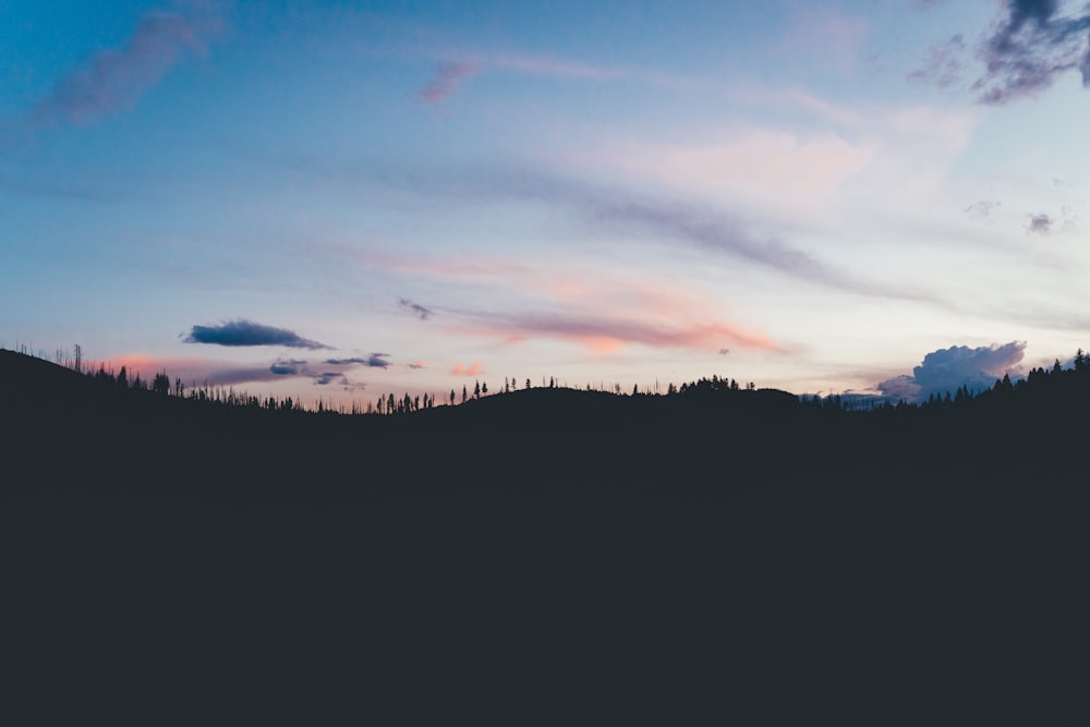 silhouette of trees under blue sky during sunset