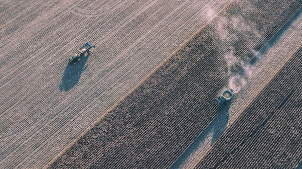 An aerial view of a large agricultural field with a tractor pulling equipment and a harvester emitting dust as it moves along rows of crops. The field is characterized by its neat, parallel lines created by the rows of crops.