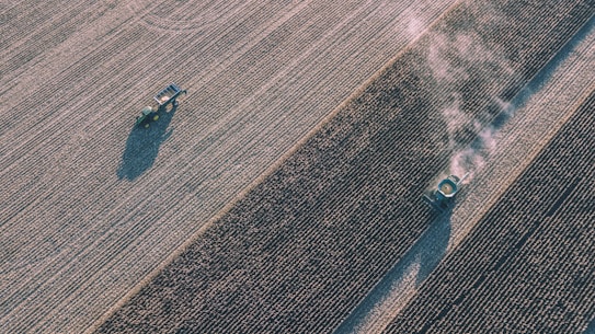 An aerial view of a large agricultural field with a tractor pulling equipment and a harvester emitting dust as it moves along rows of crops. The field is characterized by its neat, parallel lines created by the rows of crops.