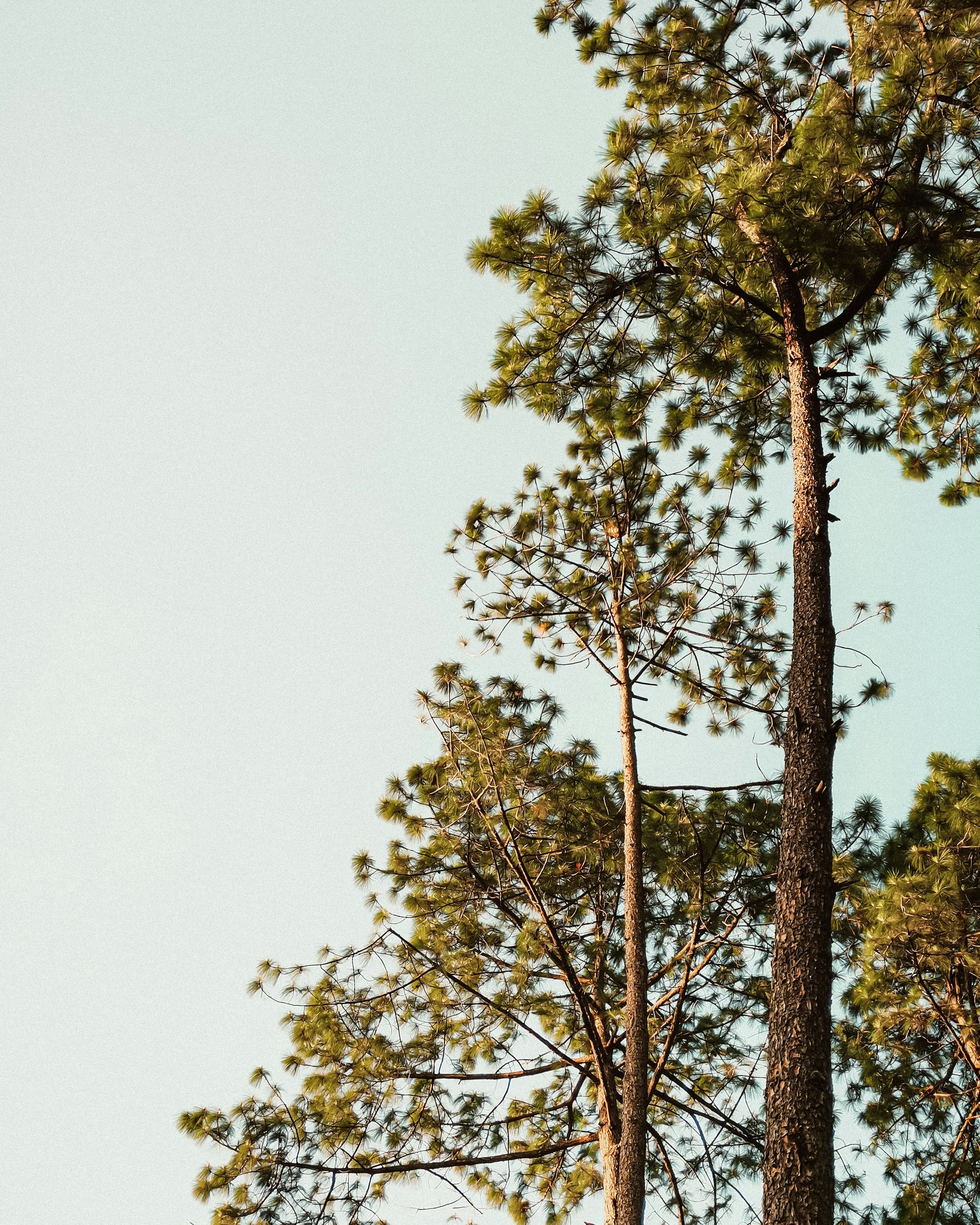 Photo by claudisdardon95_