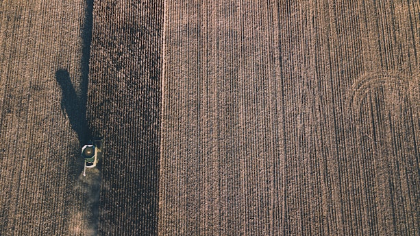 Aerial view of a large agricultural field with a combine harvester. The machine is moving through the rows of crops, leaving parallel lines in its wake. The field appears vast, with uniform rows stretching across the landscape.