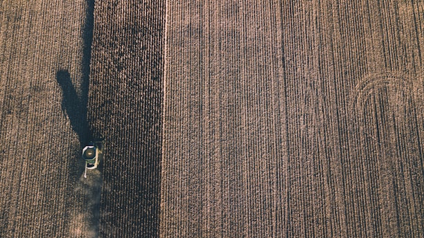 Aerial view of a large agricultural field with a combine harvester. The machine is moving through the rows of crops, leaving parallel lines in its wake. The field appears vast, with uniform rows stretching across the landscape.