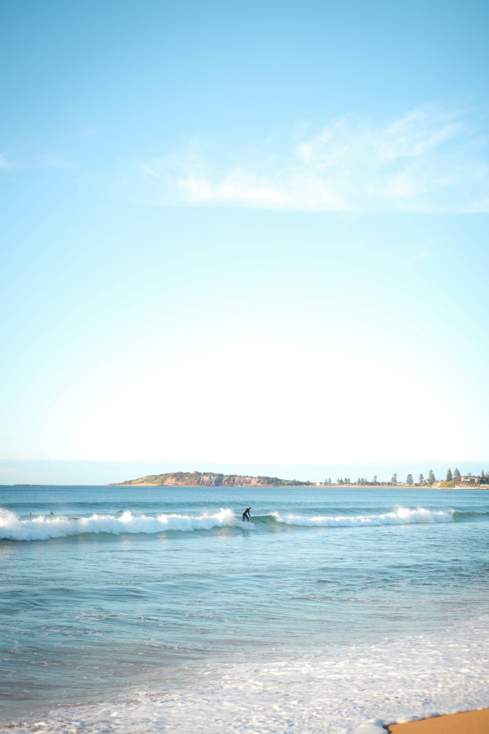 people on beach during daytime