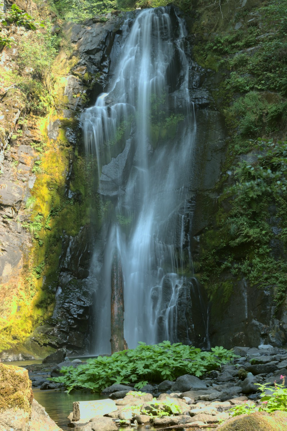 waterfalls in the middle of the forest