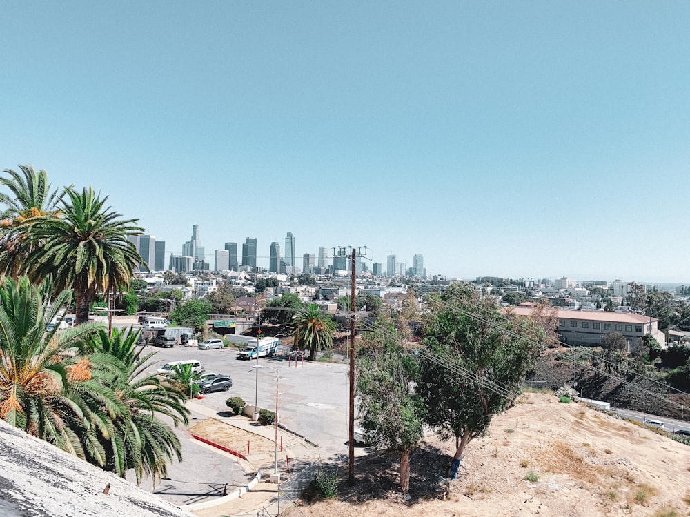 green palm trees near city buildings during daytime