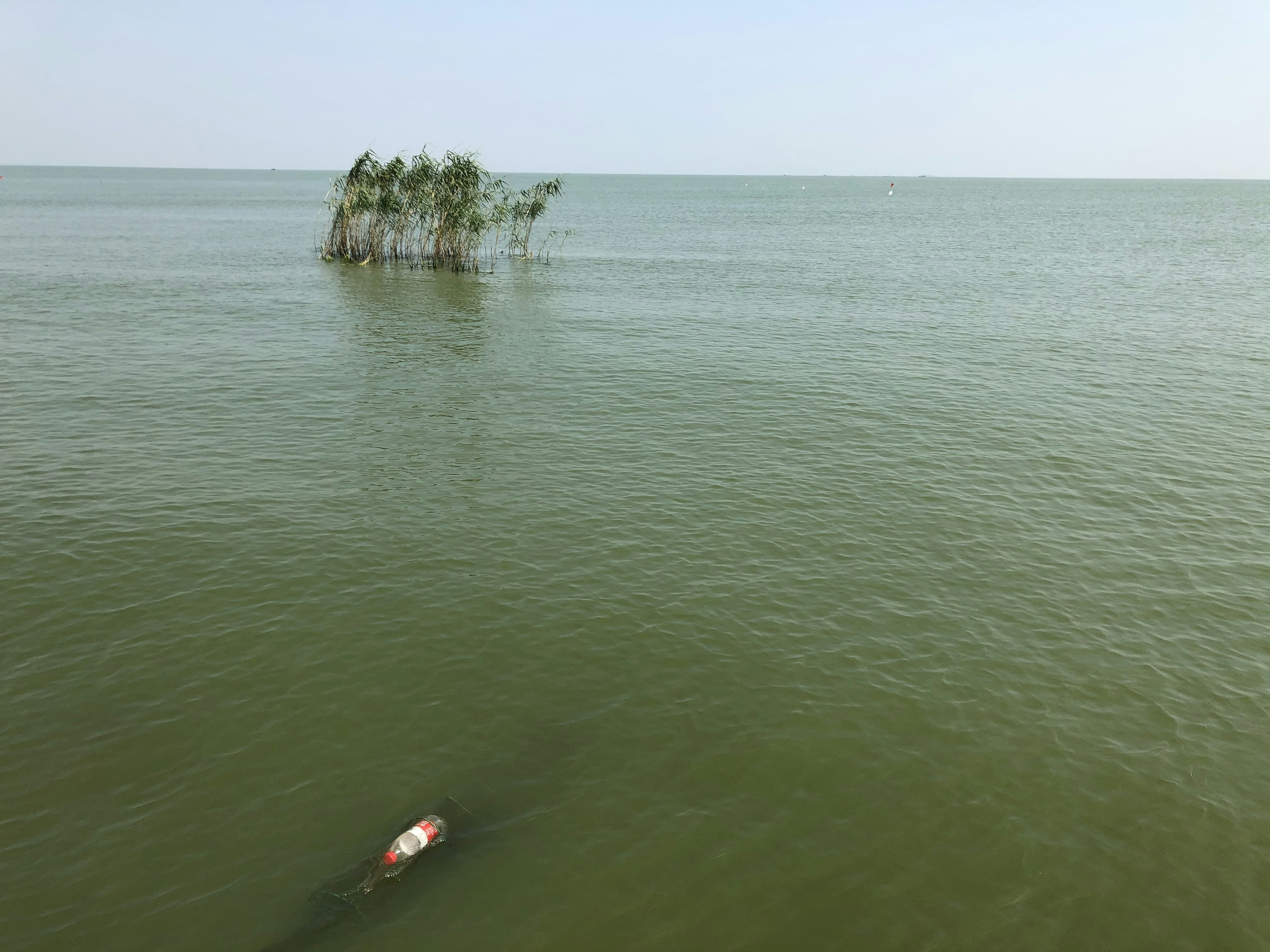 Person im roten Kajak auf grünem Meerwasser tagsüber