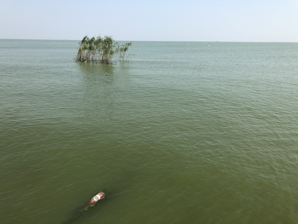 persona in kayak rosso sull'acqua di mare verde durante il giorno
