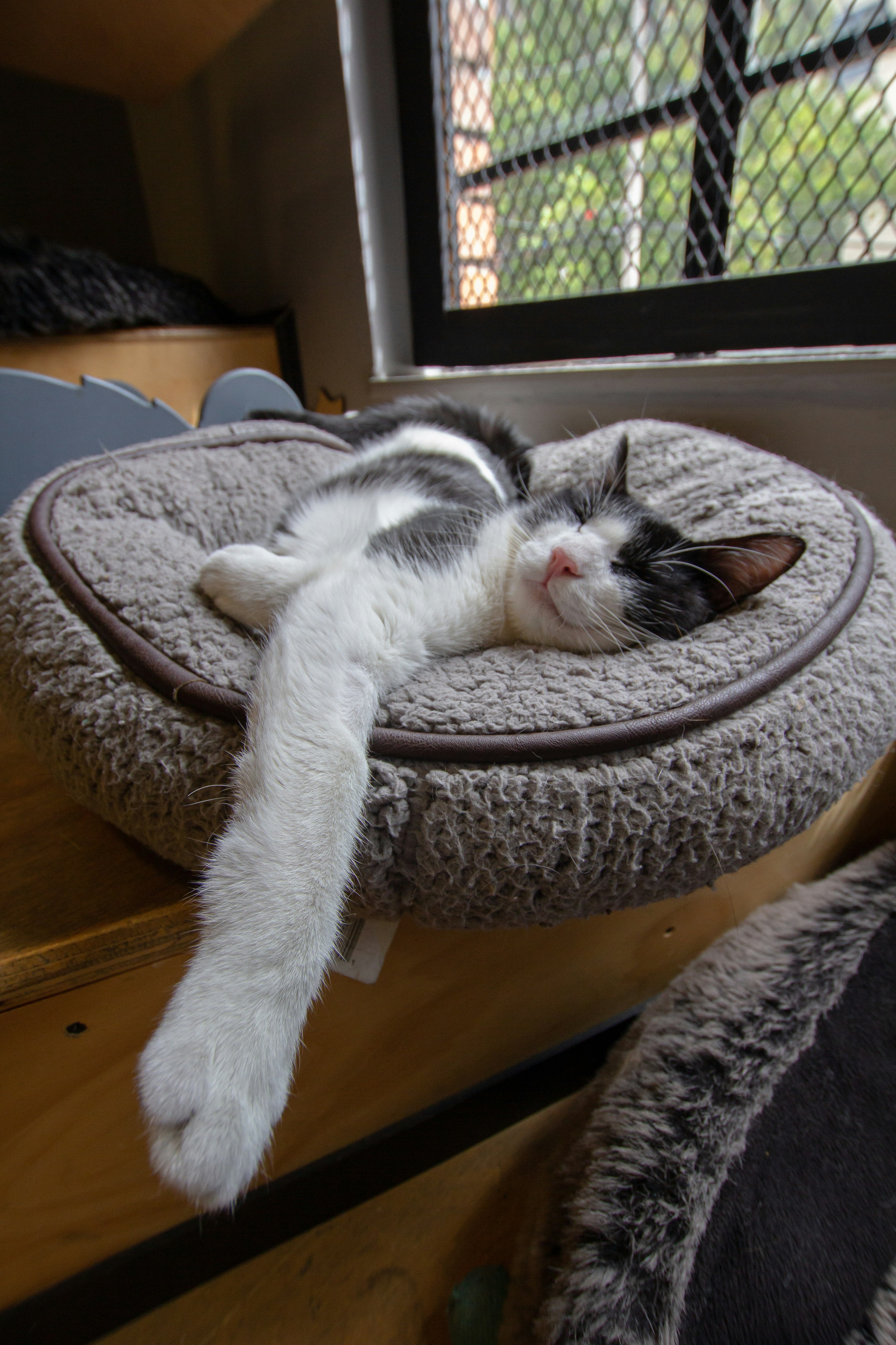 Photo by andresloquesea