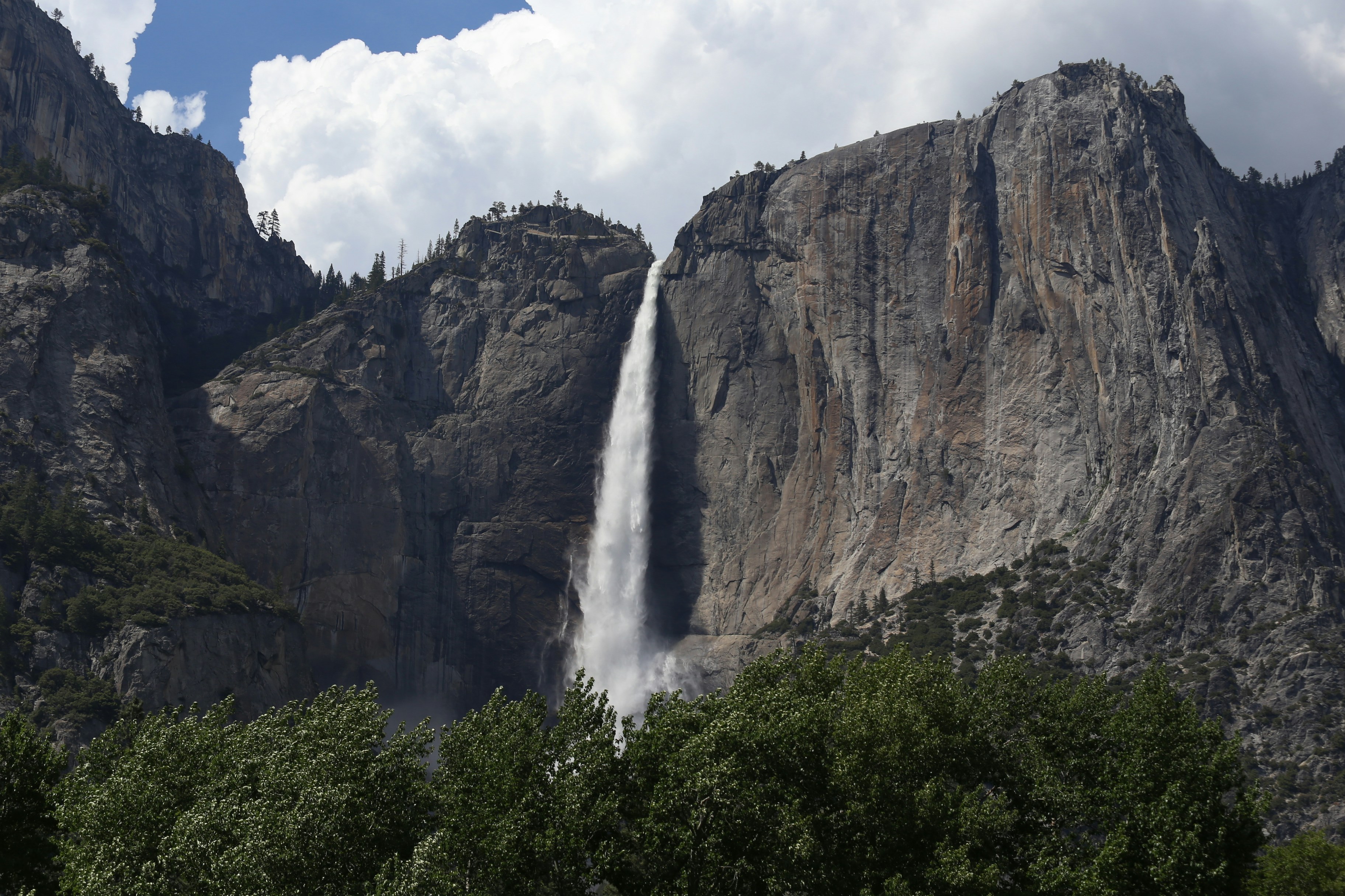 waterfalls in the middle of the forest