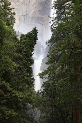 A tall waterfall cascades down a steep rock face, surrounded by dense, lush green forest trees. The water flows vigorously, creating a mist at the base.