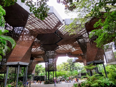 people walking on street during daytime