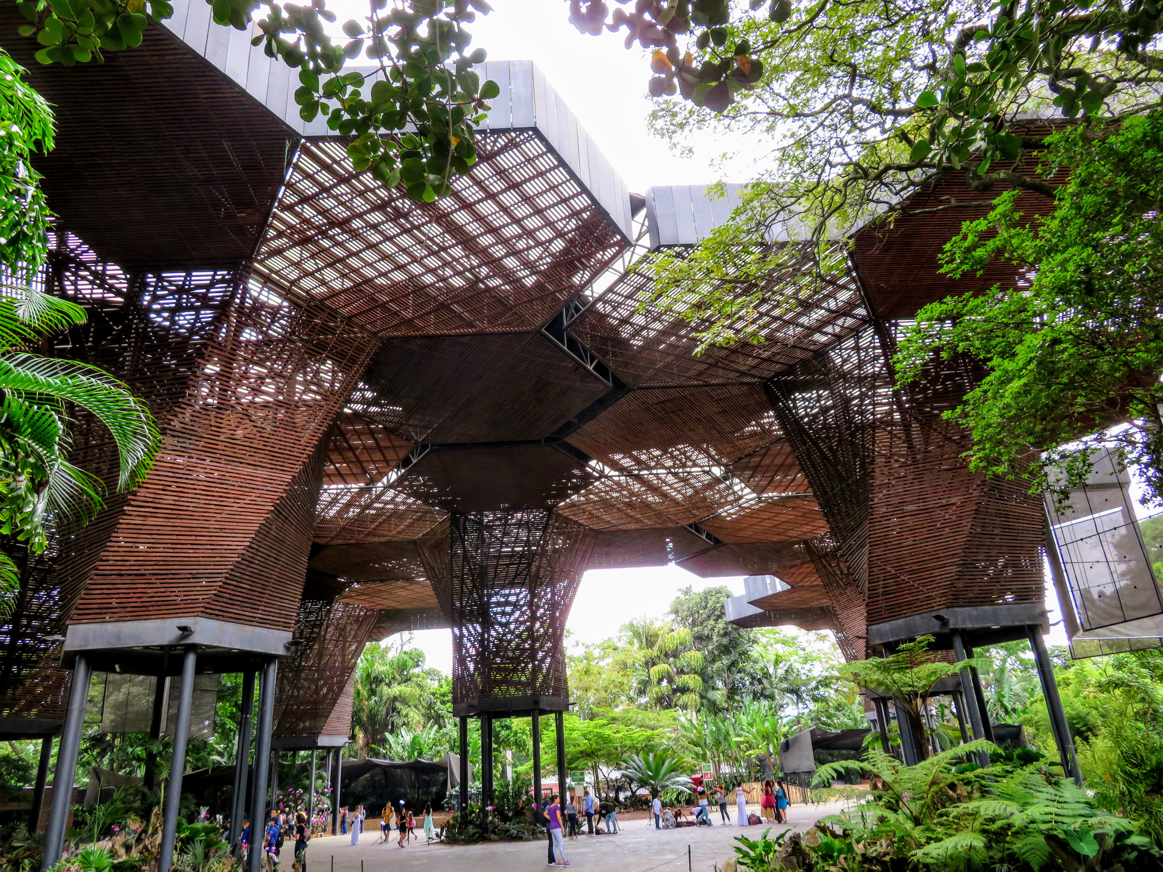 The honeycombed timber canopy of the Orquideorama at Medellin's Jardin Botanico, seen from below among the trees