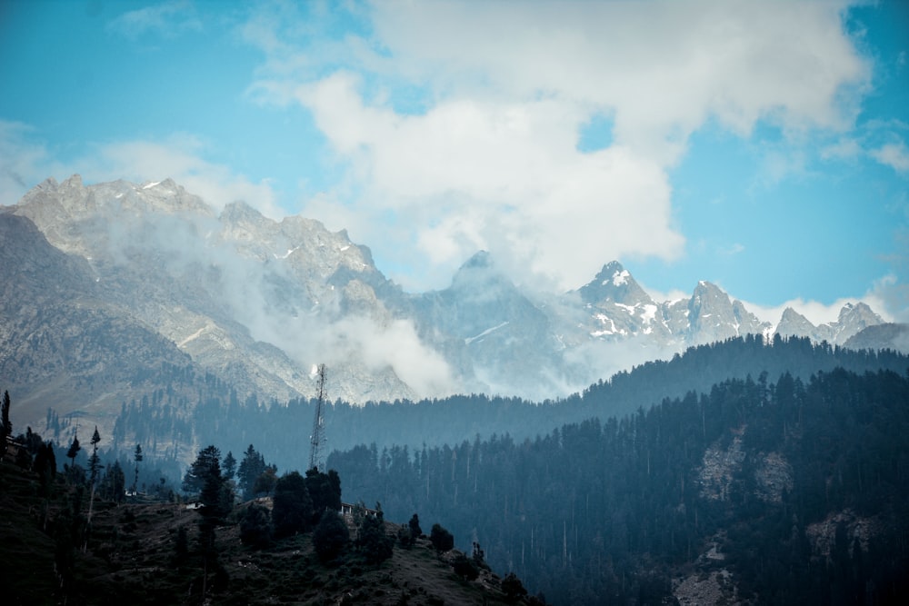 green trees near mountain under blue sky during daytime