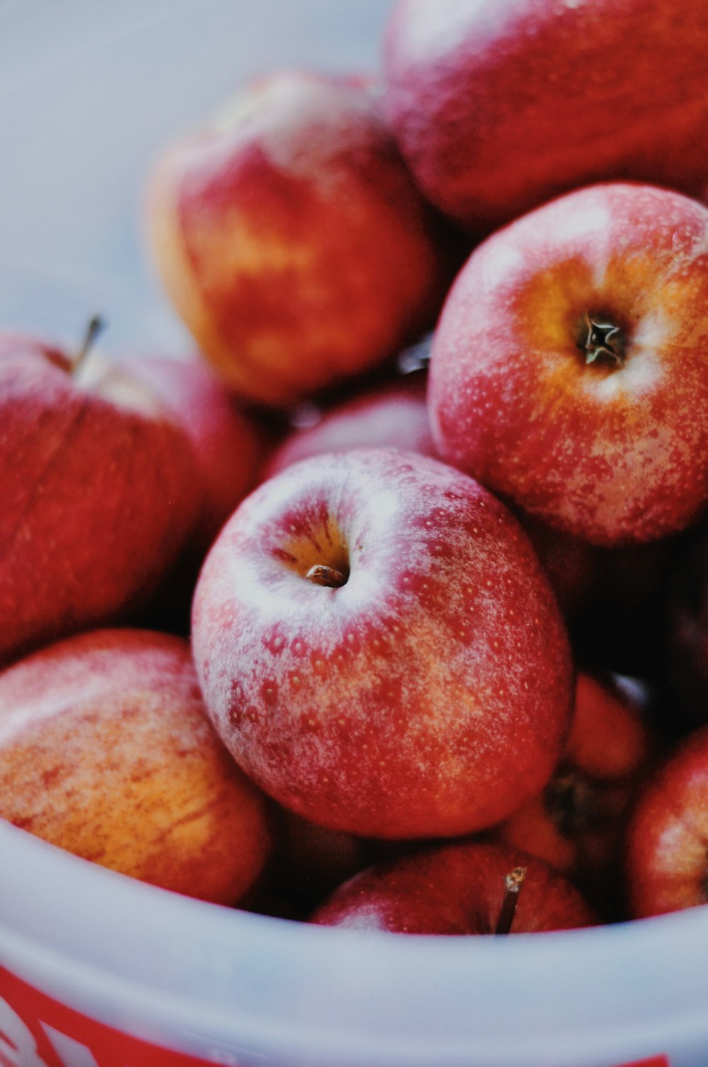 red apples on white ceramic bowl