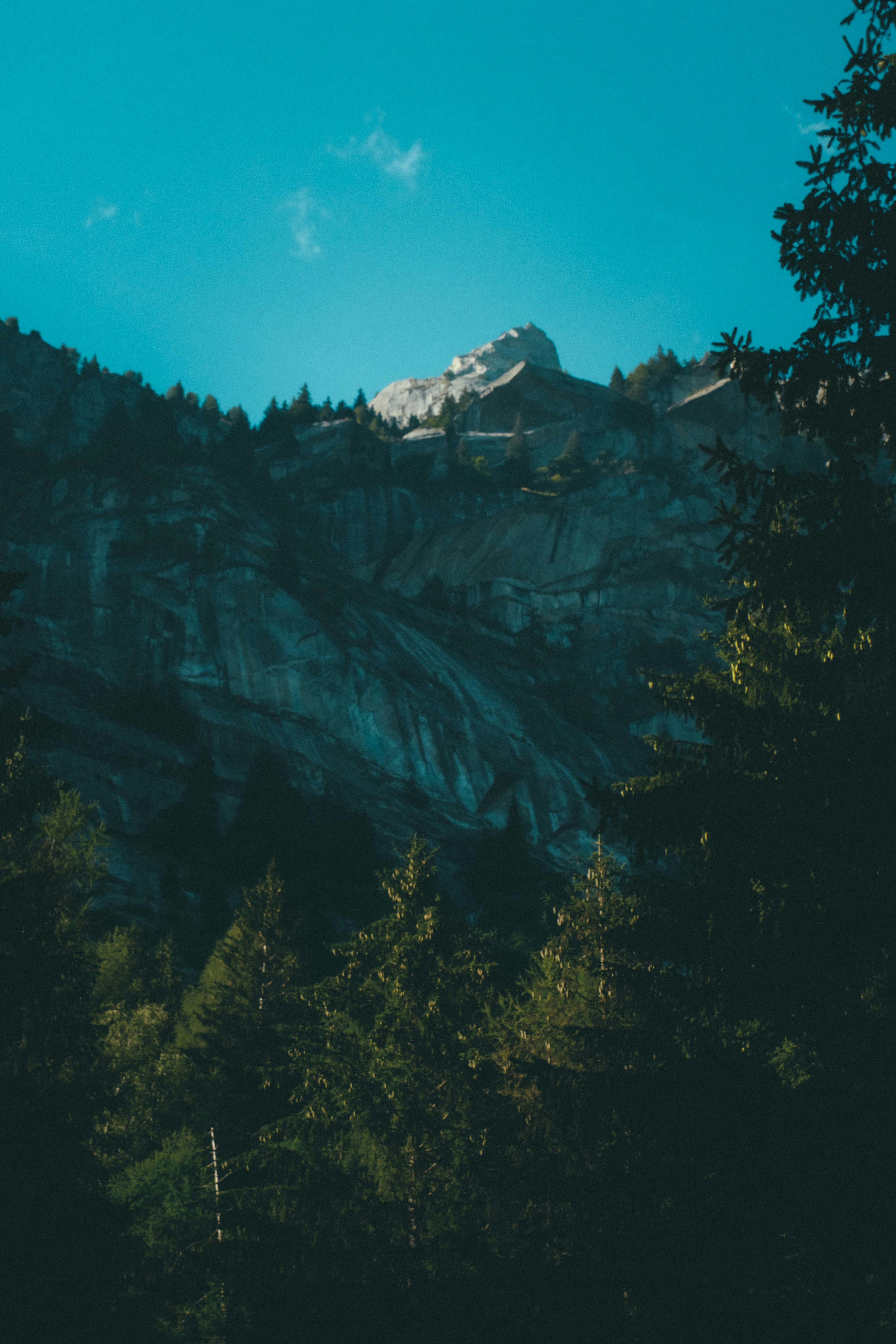 Photo by francesco_ungaro