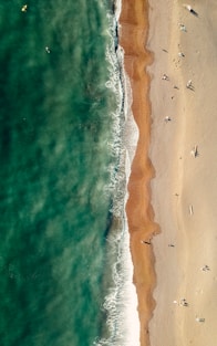 aerial view of beach during daytime