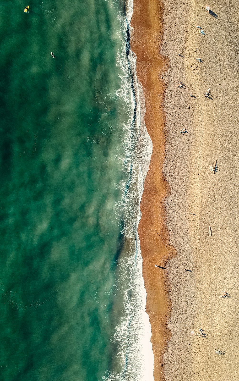 aerial view of beach during daytime