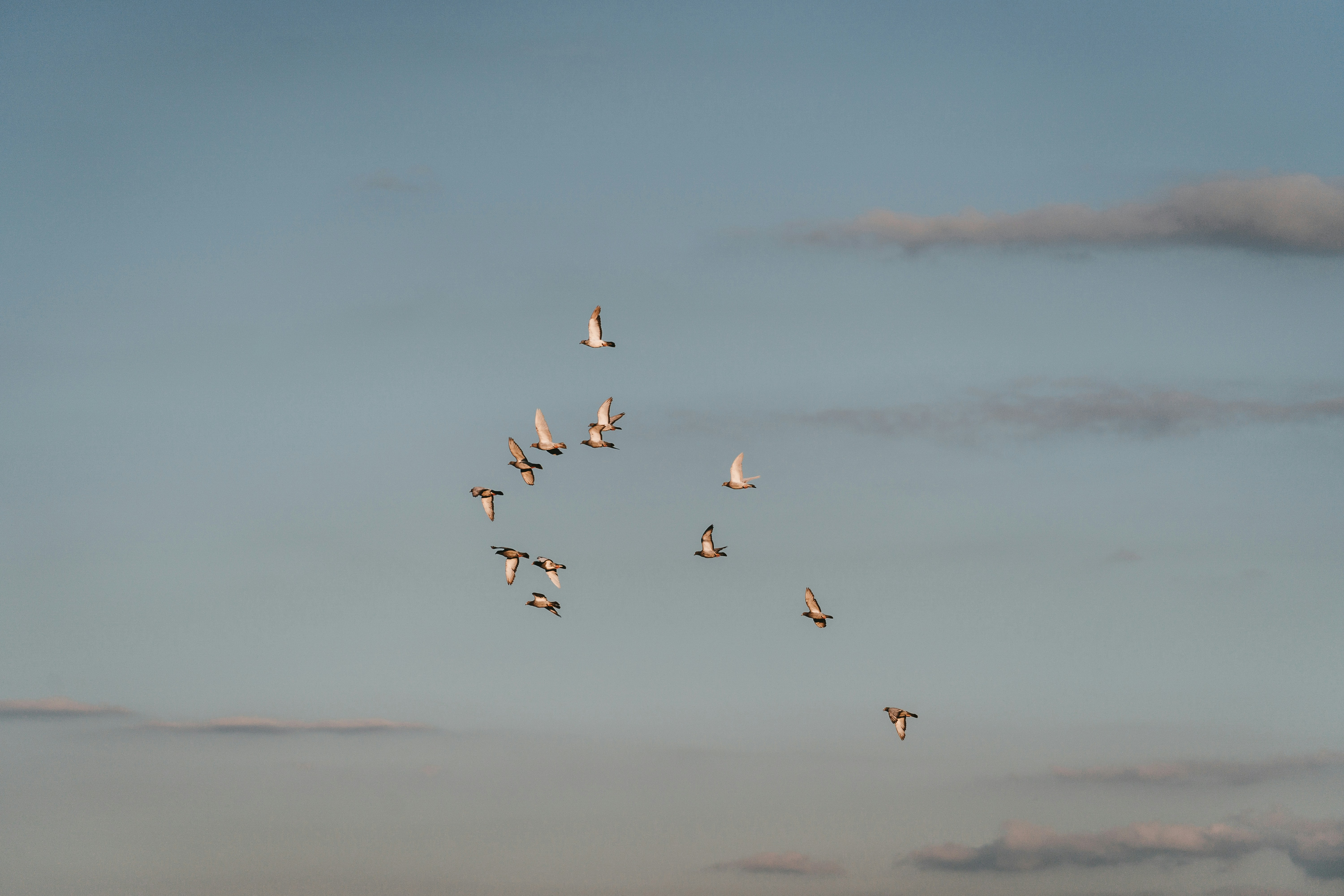 Photo by julianhochgesang