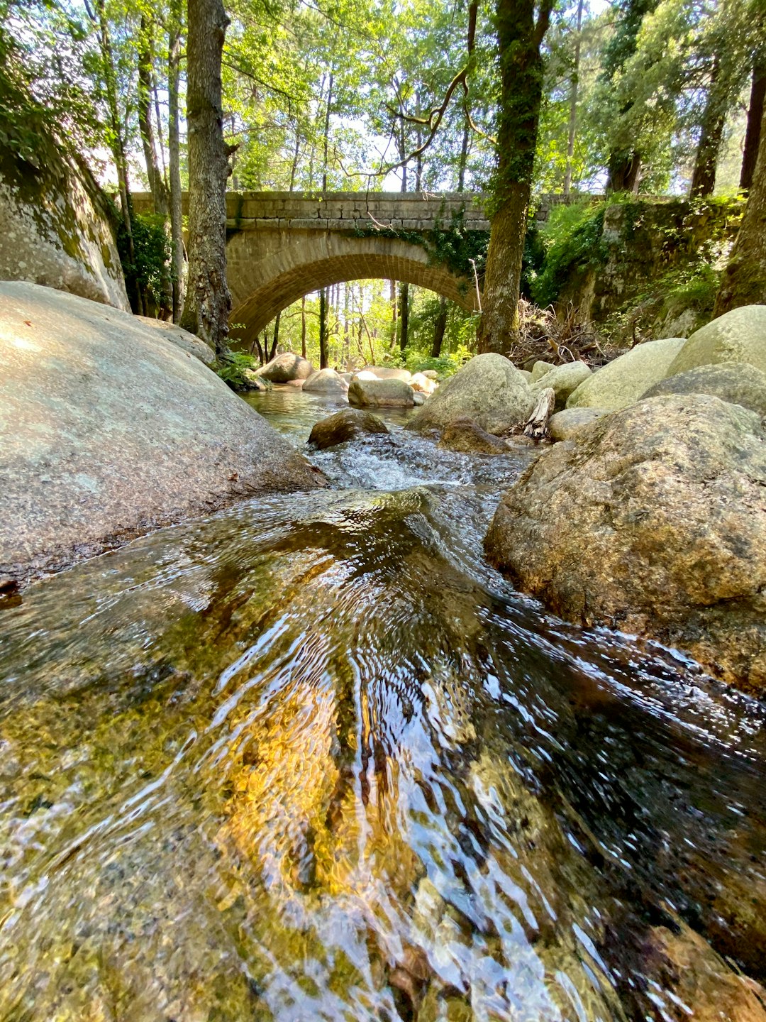 Watercourse photo spot Corse-du-Sud France