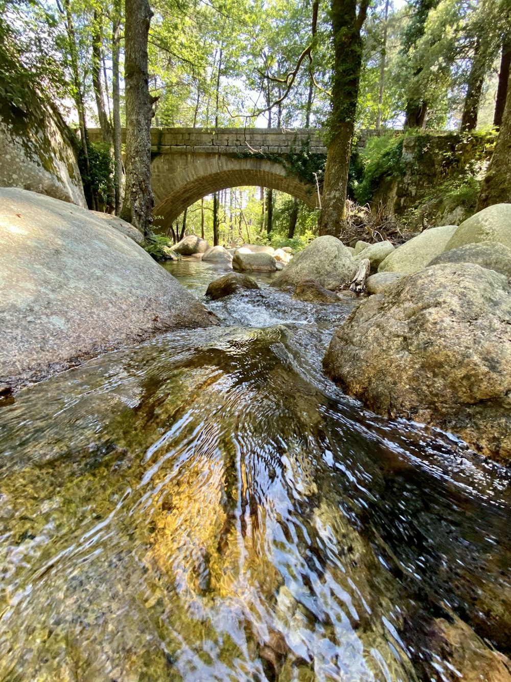 brown wooden bridge over river