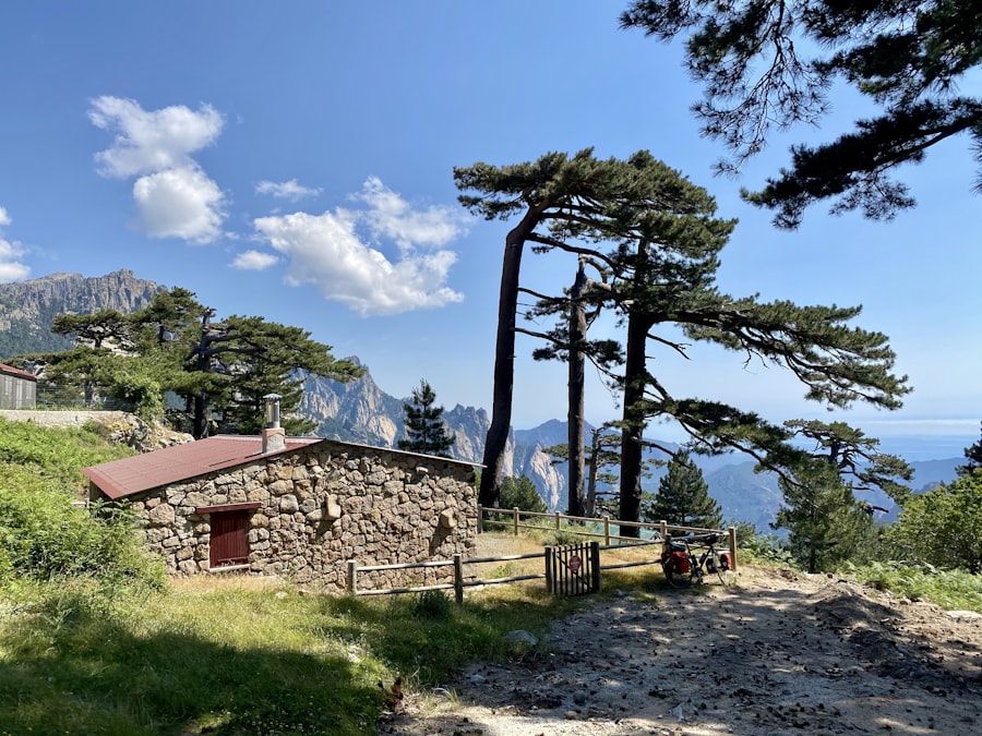 Zonza, village de l'Alta Rocca entouré de forêts