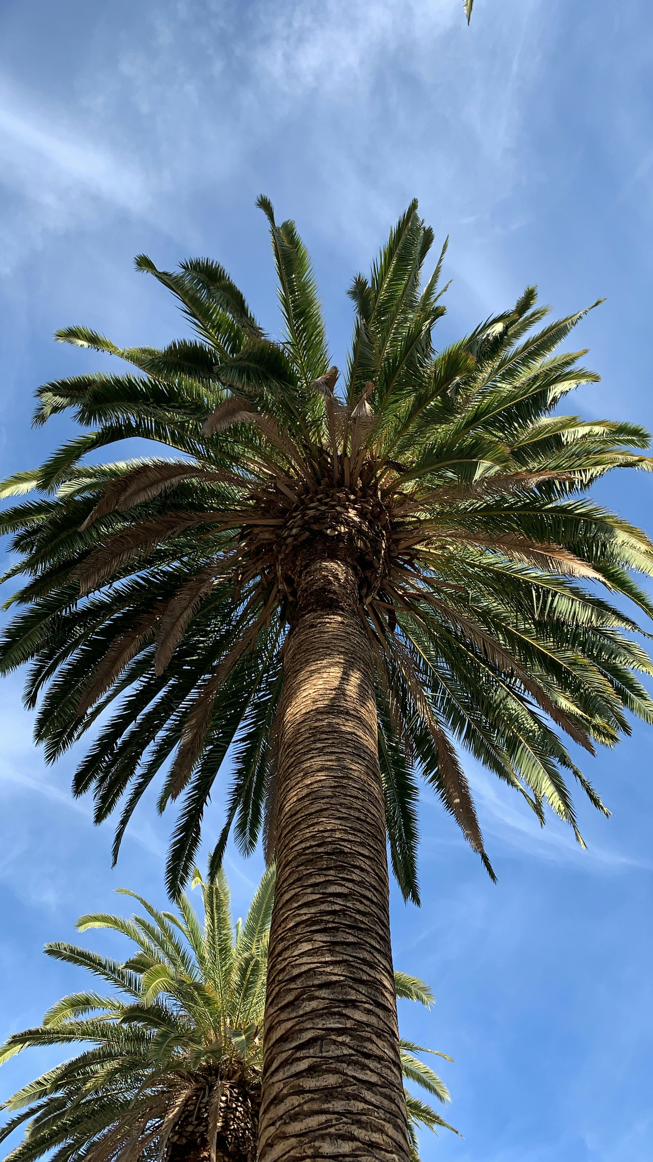 Photo by strvngefilmss