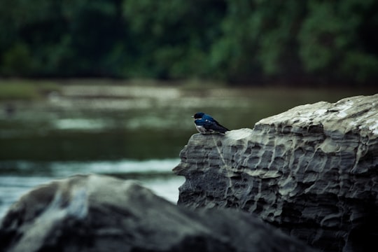 photo of Aceh Besar Watercourse near Masjid Raya Baiturrahman