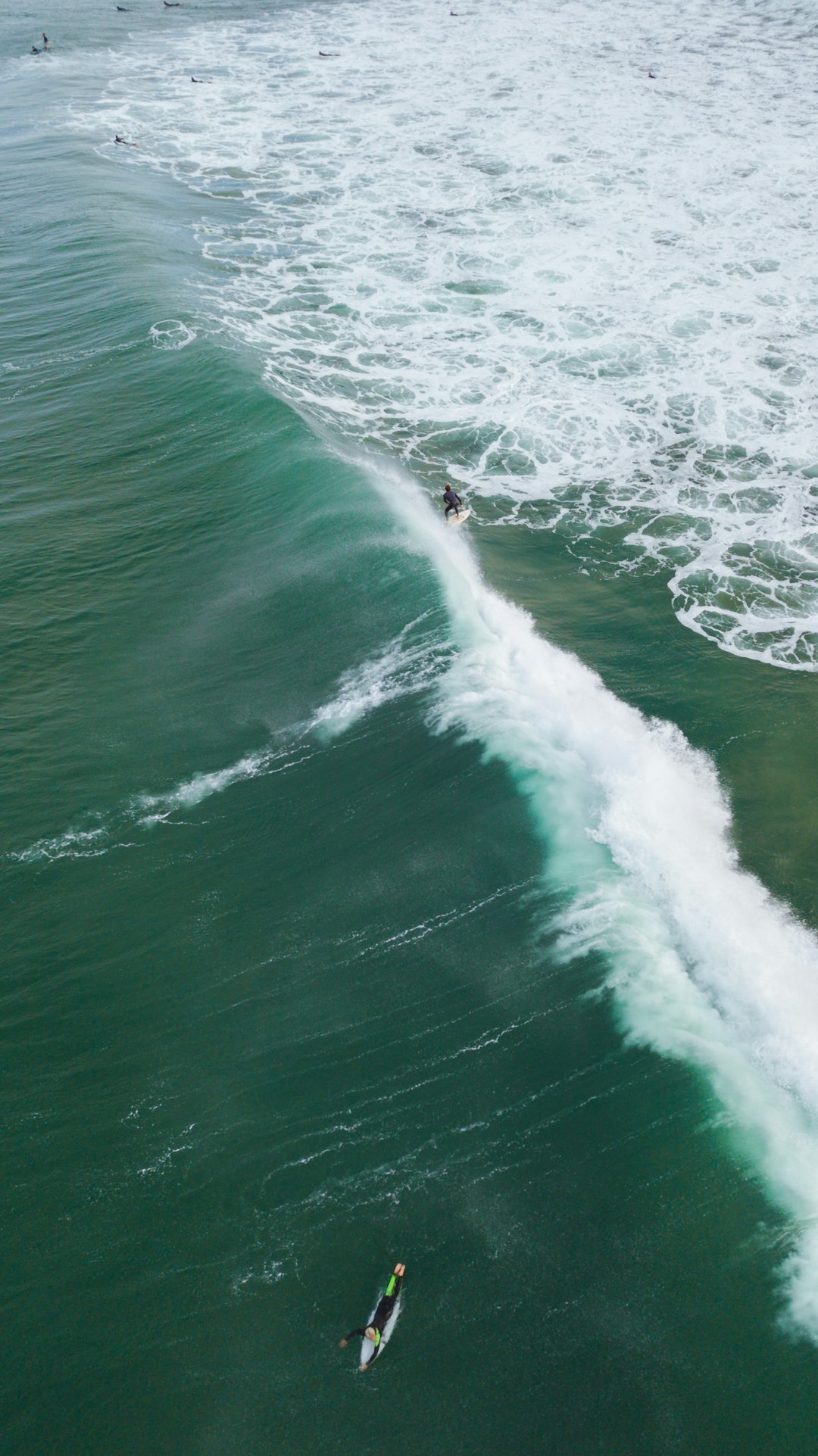 Surfing photo spot Sydney Bondi