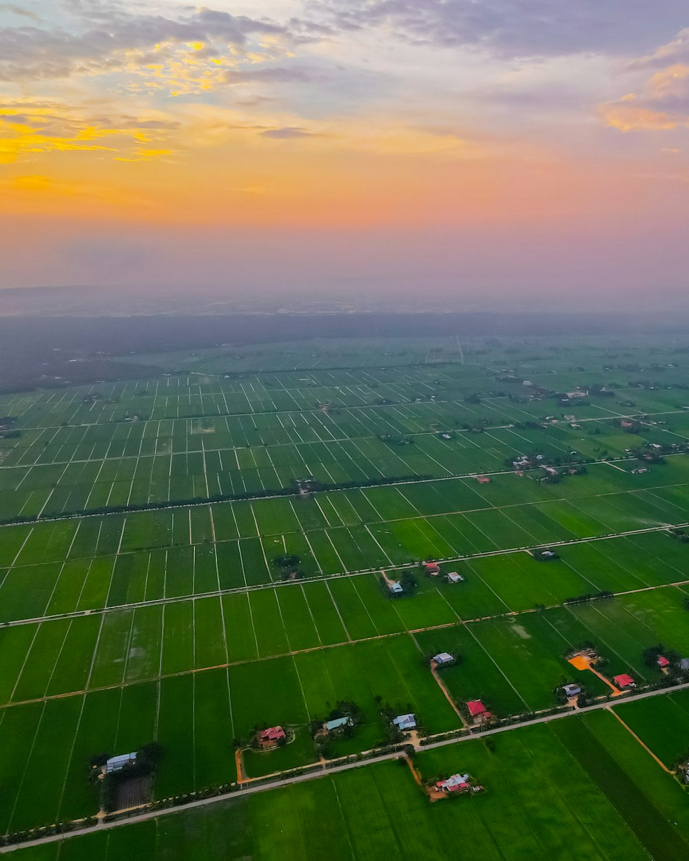 Grünes Grasfeld bei Sonnenuntergang