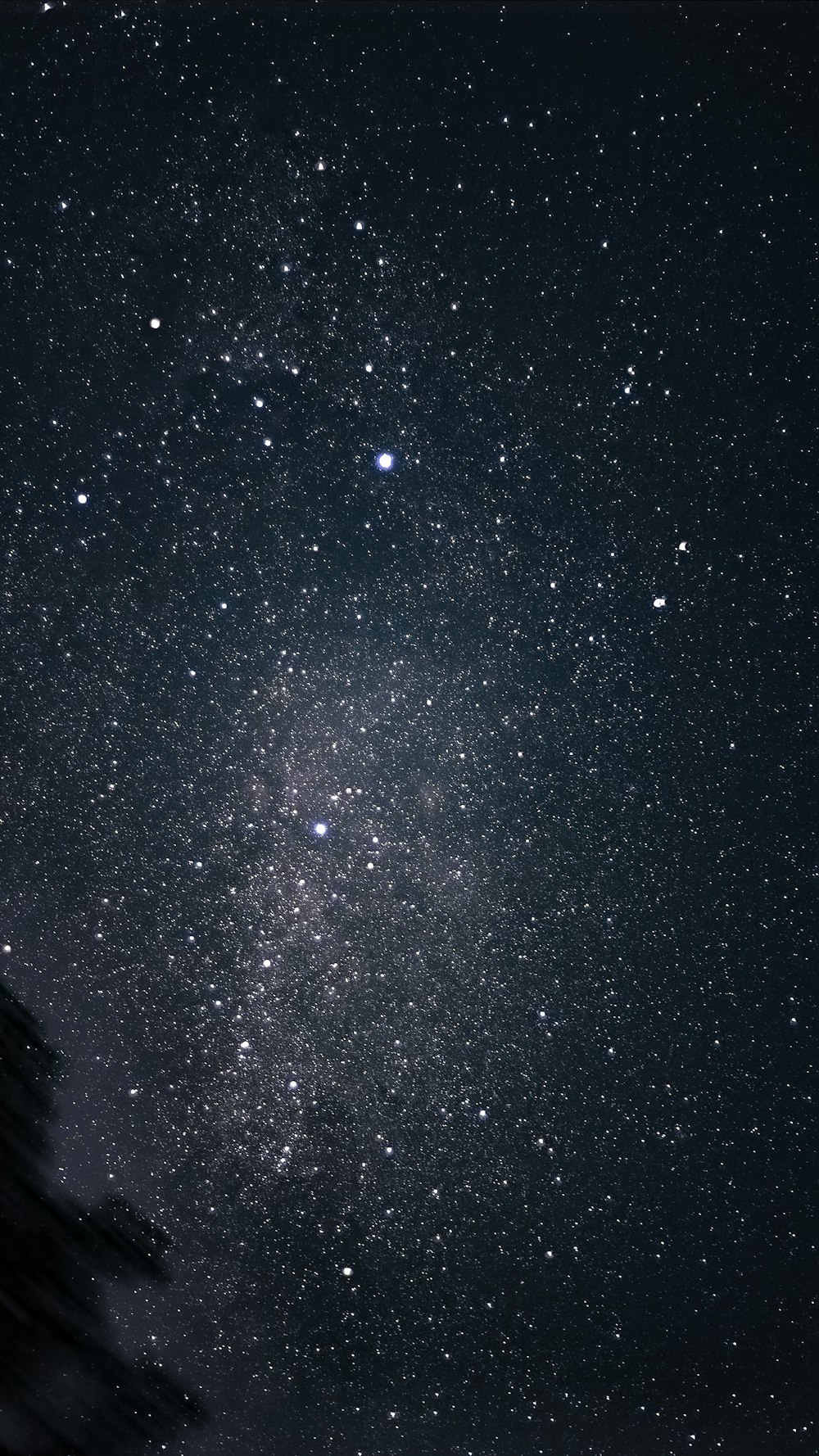 starry night sky over starry night