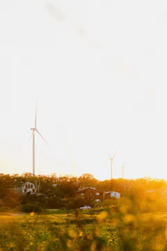 Solar panels and wind turbines set against a lush tropical landscape at sunrise.