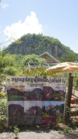 Poster of the film 'Mùa Đu Đủ Xanh' showing a nostalgic summer scene with green papaya trees