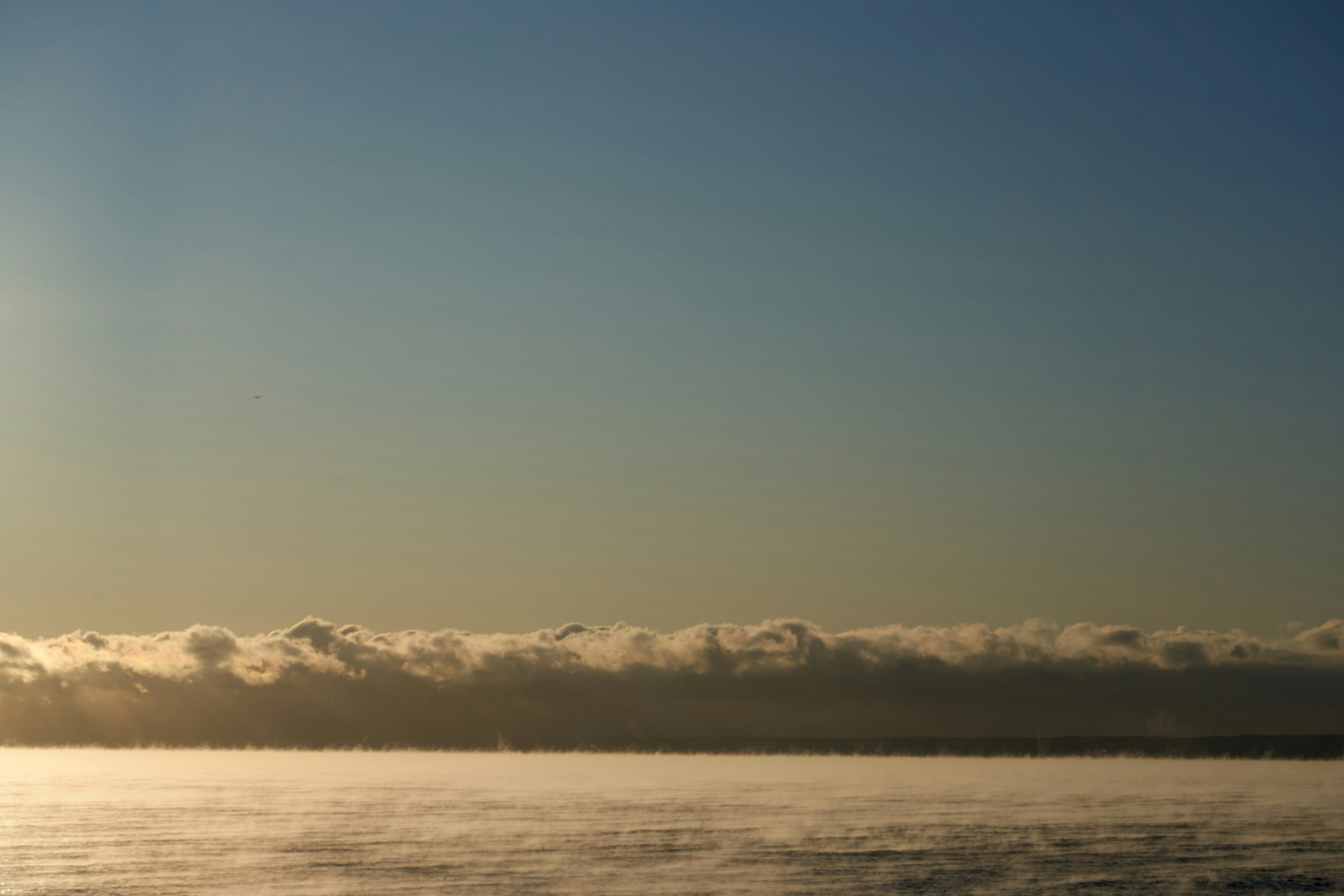 Photo by wolfgang_hasselmann