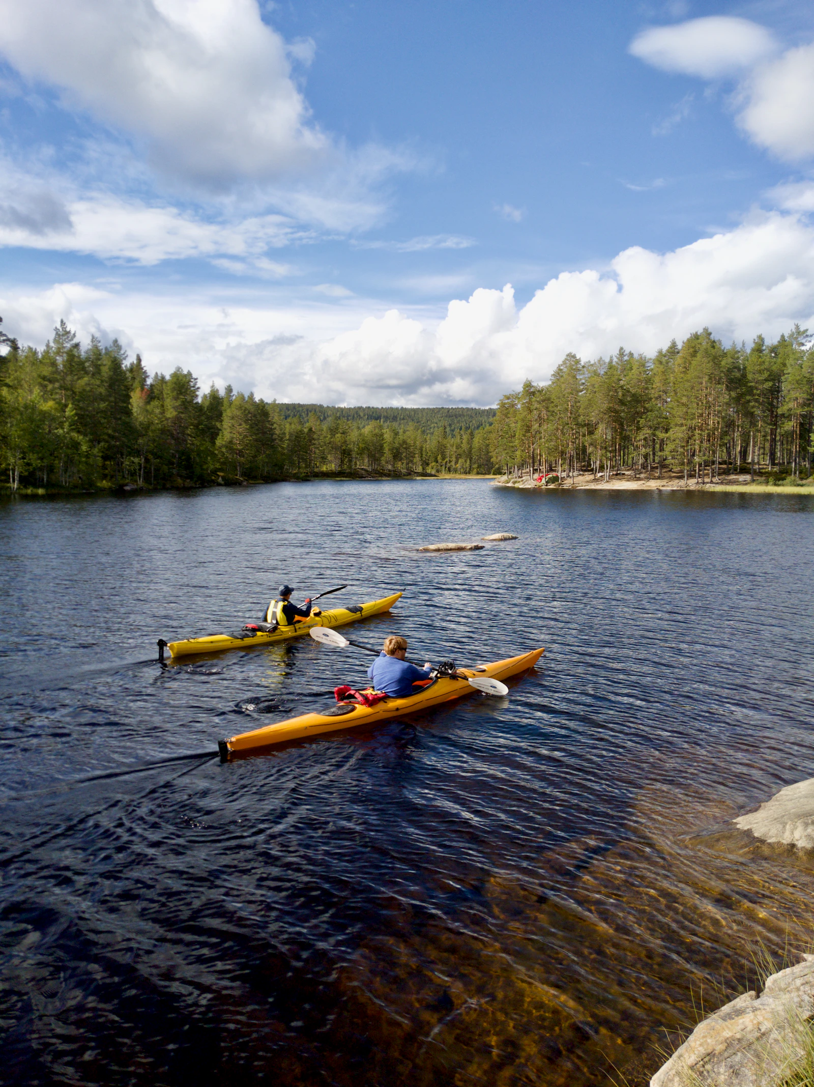 Yellow kayak resting near the shoreline under trees at the end of the paddling season