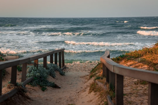 brown wooden fence on seashore during daytime in Port Elizabeth South Africa