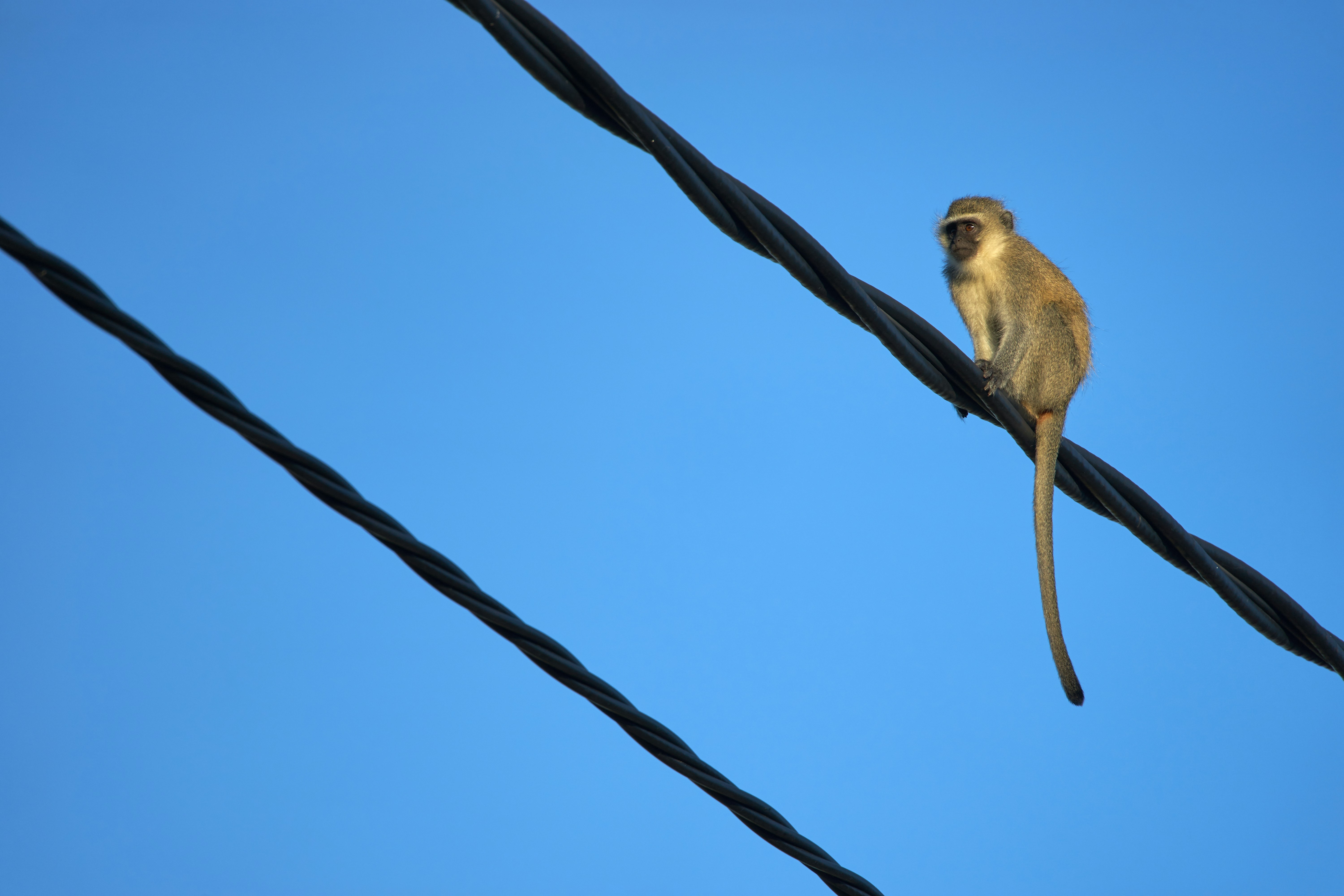 Photo by wolfgang_hasselmann