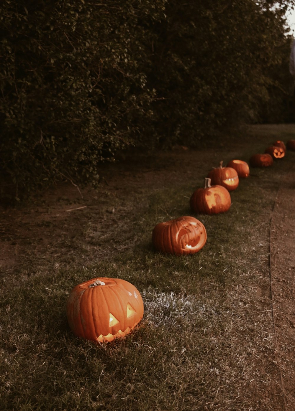 jack o lantern on green grass