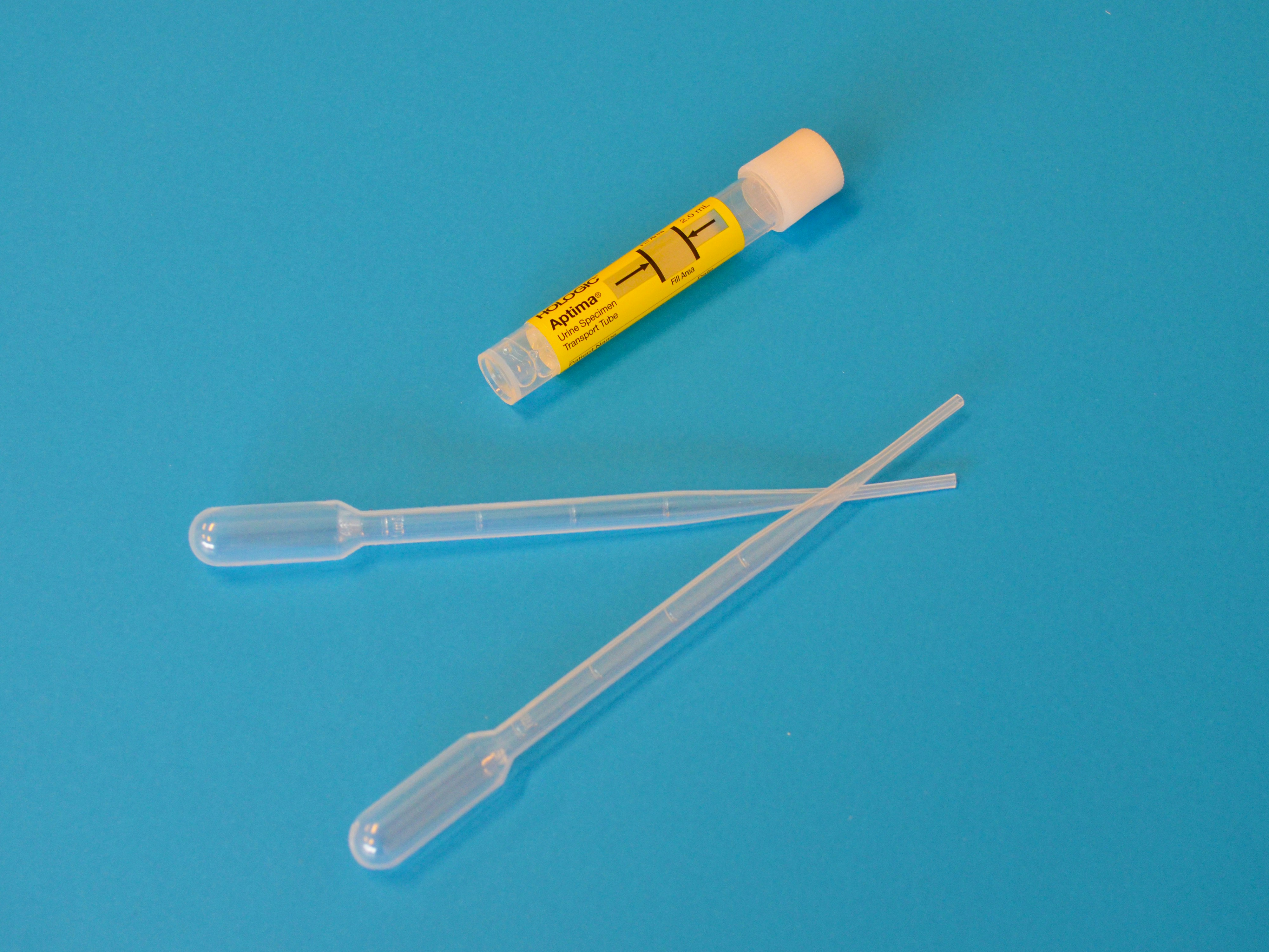 Can Certain Foods Cause Smelly Urine?