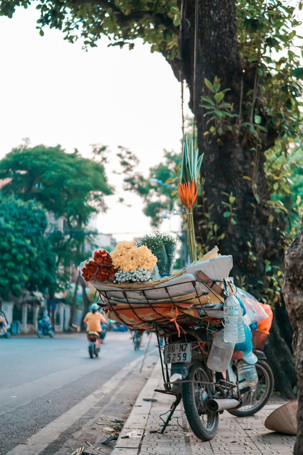 man in blue denim jeans and white shirt carrying brown wooden cart with flowers on top