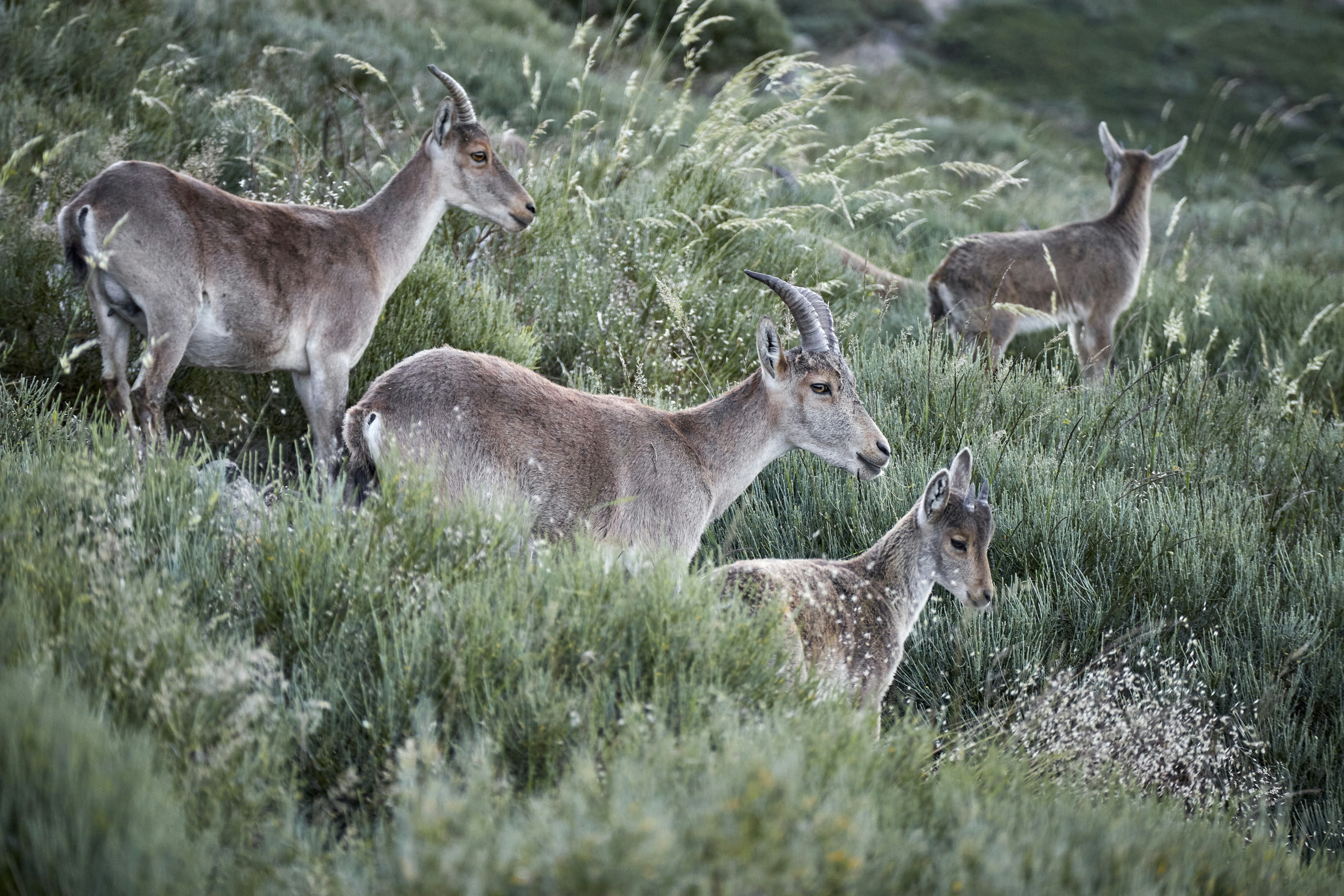 Photo by carlosfuentes