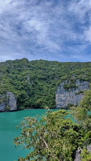 A lush green forested area on a hill slopes down towards a turquoise body of water. Rugged limestone cliffs rise prominently in the background under a partly cloudy sky. The vivid greenery and calm water suggest a serene and remote natural setting.