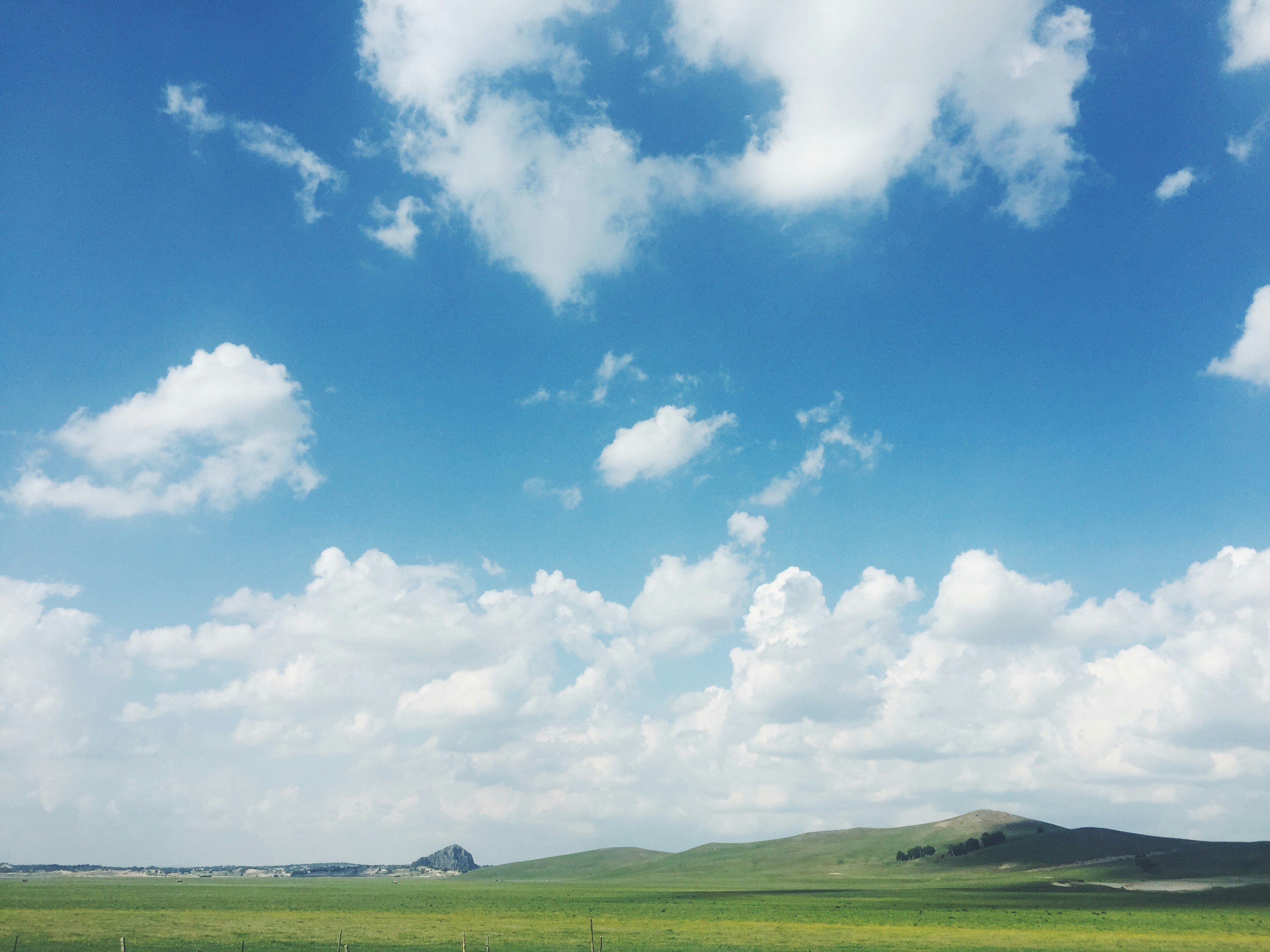 Champ d’herbe verte sous les nuages blancs et le ciel bleu pendant la journée