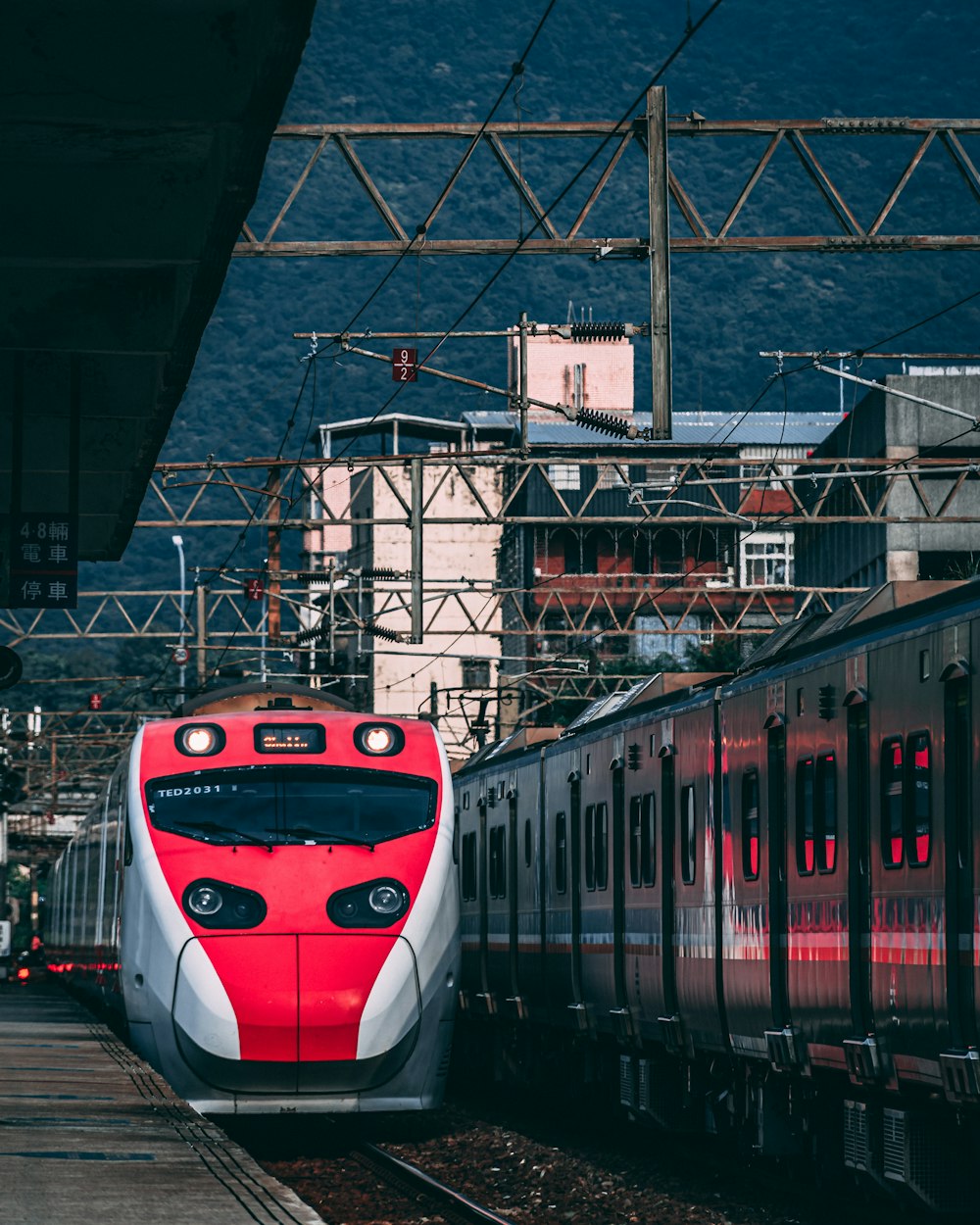 red and white train on rail