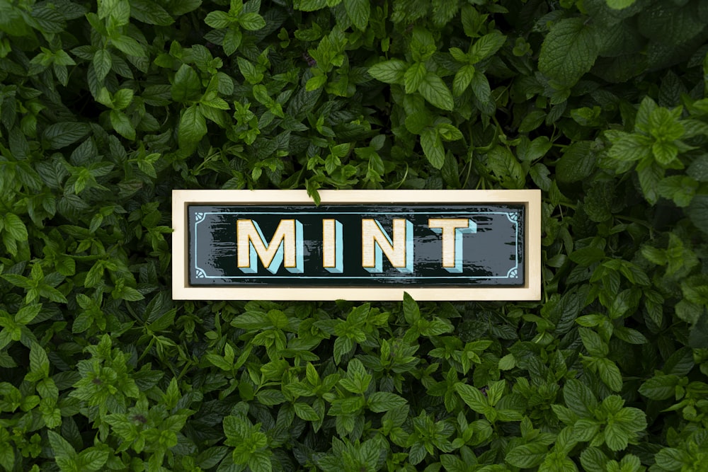 a sign that says mint on it in front of a bush