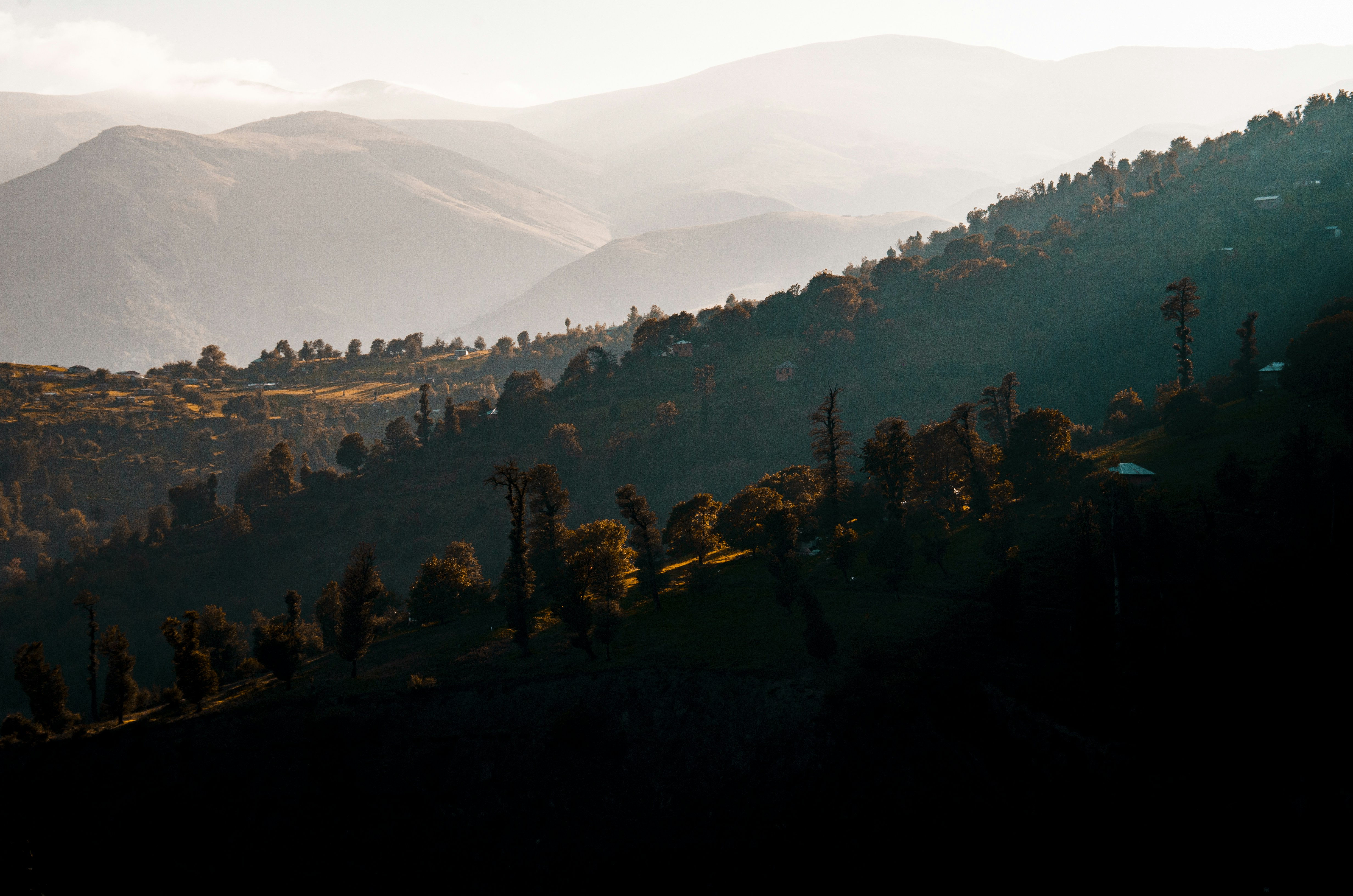 Photo by ahmadreza7shot