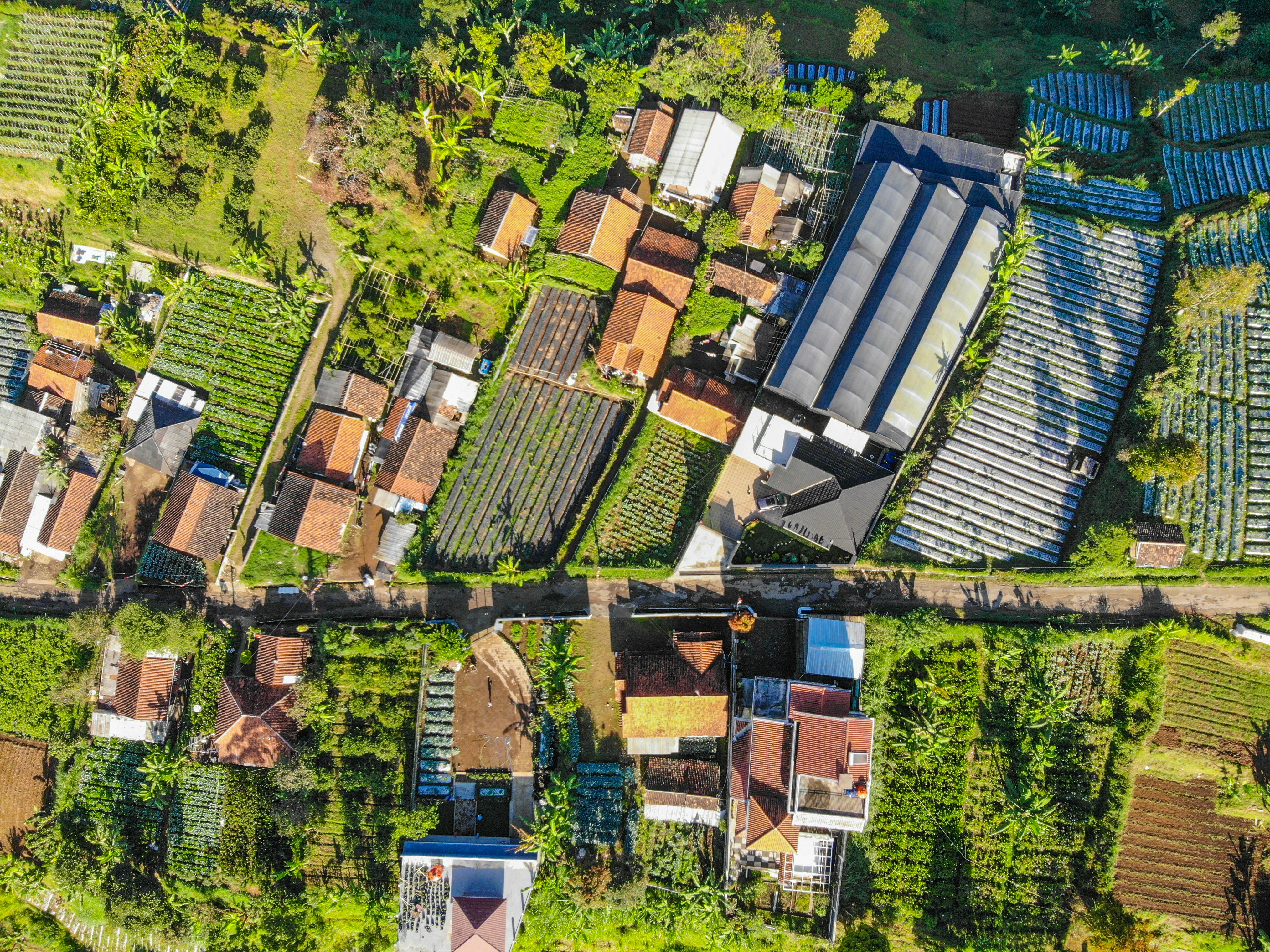 aerial view of houses and trees during daytime
